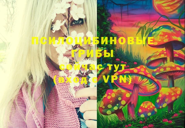 винт Балабаново